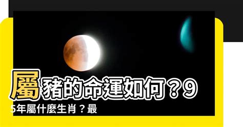 2008年屬什麼|2008年屬什麼生肖